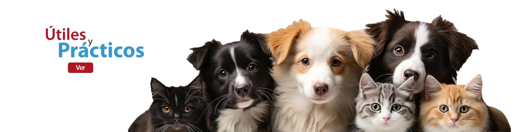 Percheros útiles y prácticos para organizar accesorios de mascotas