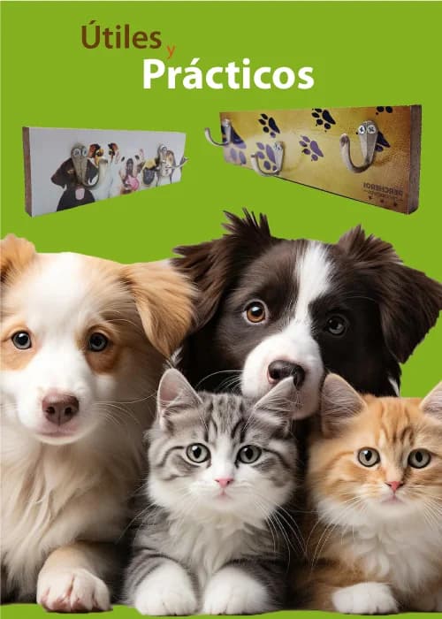 Percheros útiles y prácticos para organizar accesorios de mascotas